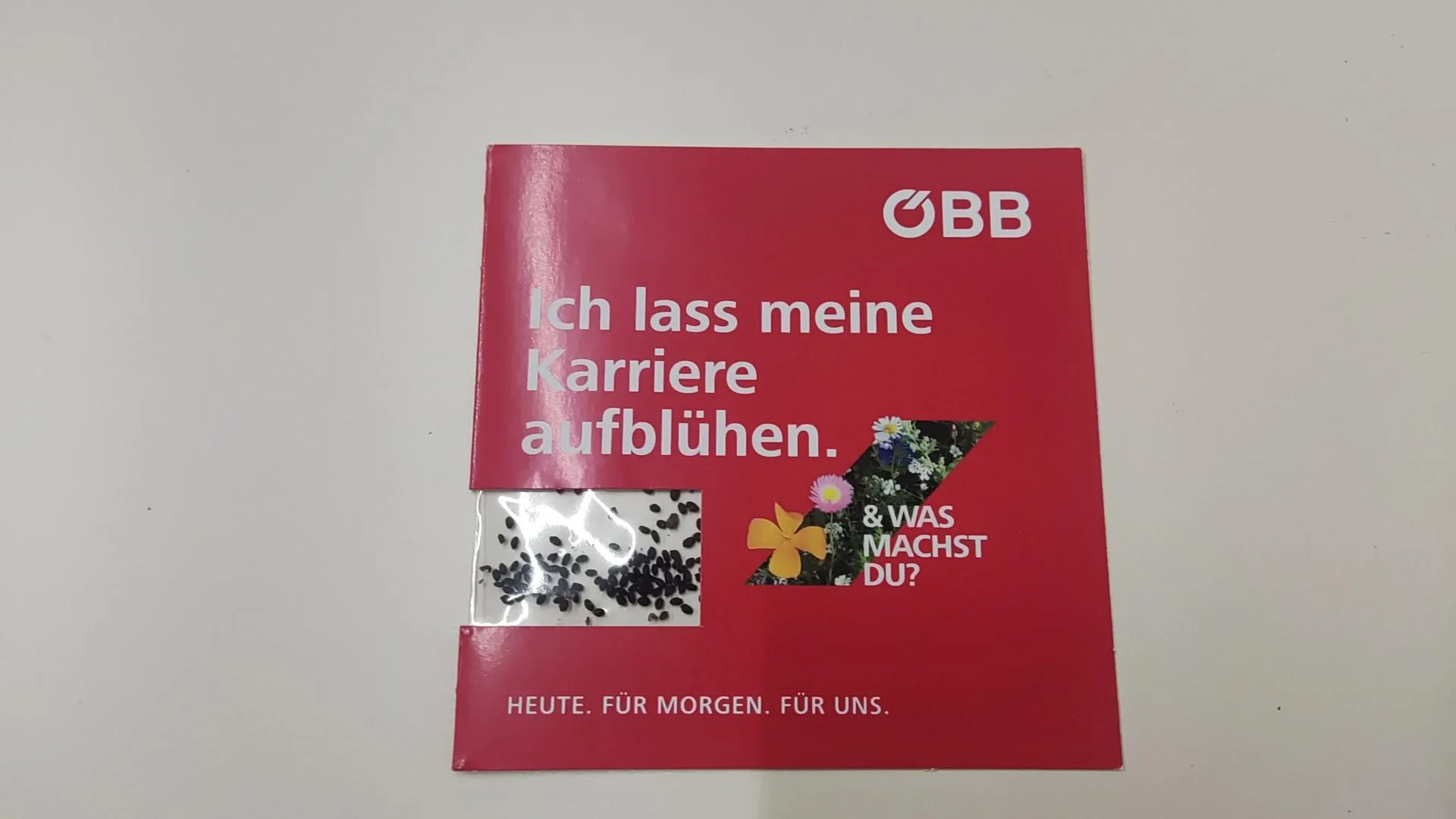 ÖBB blumensamen