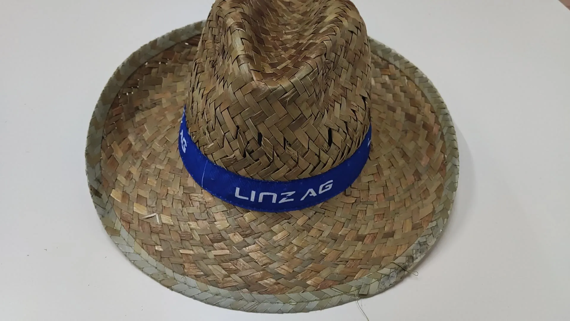 LinzAG hut