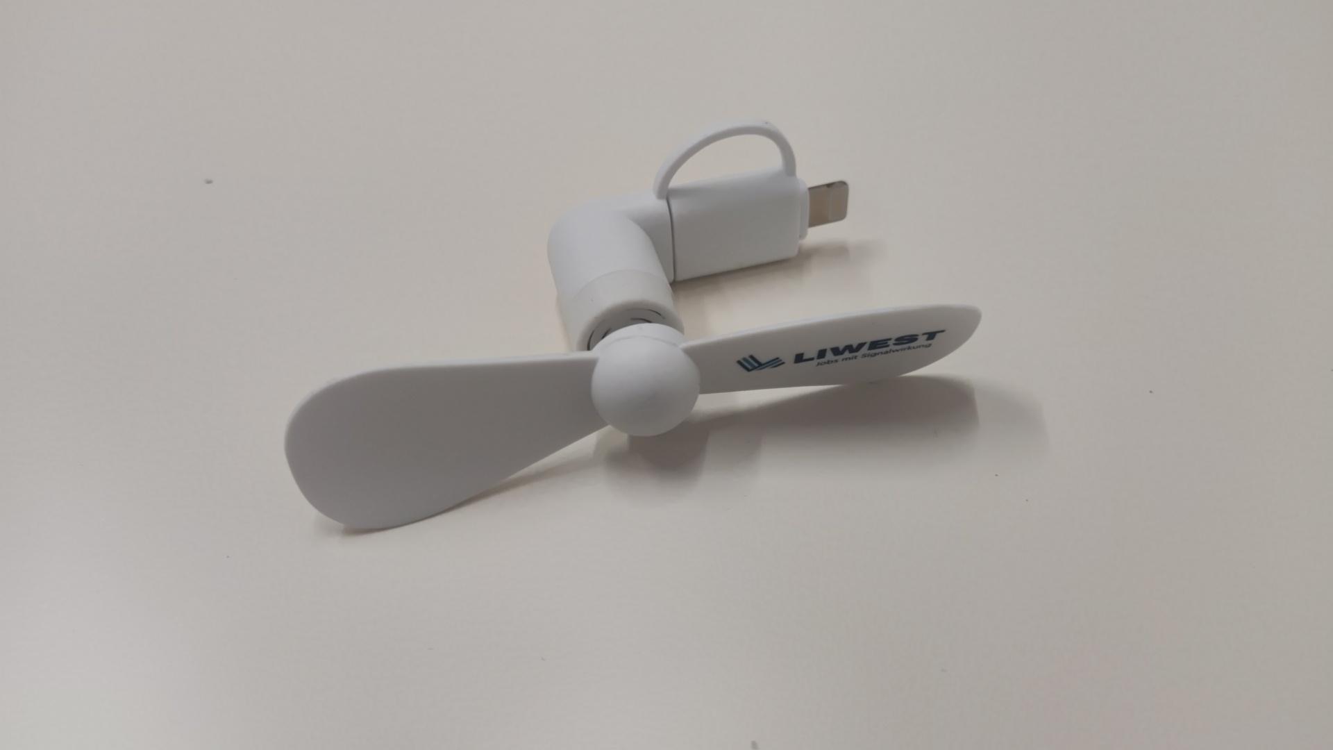 Liwest mini ventilator